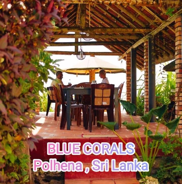 Blue Corals Beach Bungalow Матара Екстериор снимка